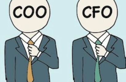 Introducing the COFO: A New Role for a New Era