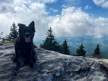 Senior hiking to the top of a mountain