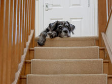 Doh hesitating on the stairs