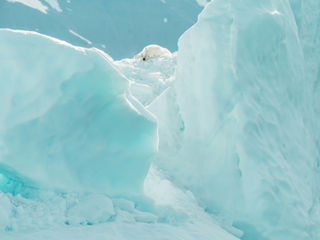 (Science|Business) EU polar research melts into the background