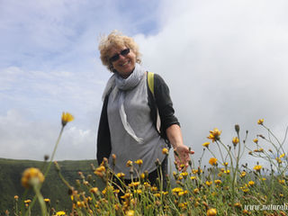 | 08-07-2019 | Yellow Flower Blooming on the Circle Caldeira Hiking