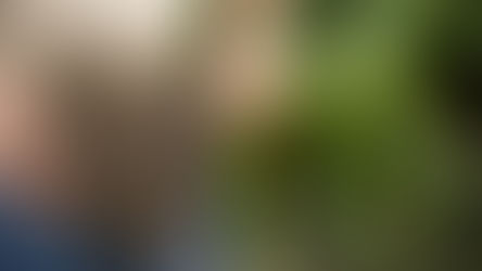 Using Innovative Technology to Reduce Nitrogen Use