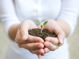 How the Gut Health Boom Is Reshaping Agriculture