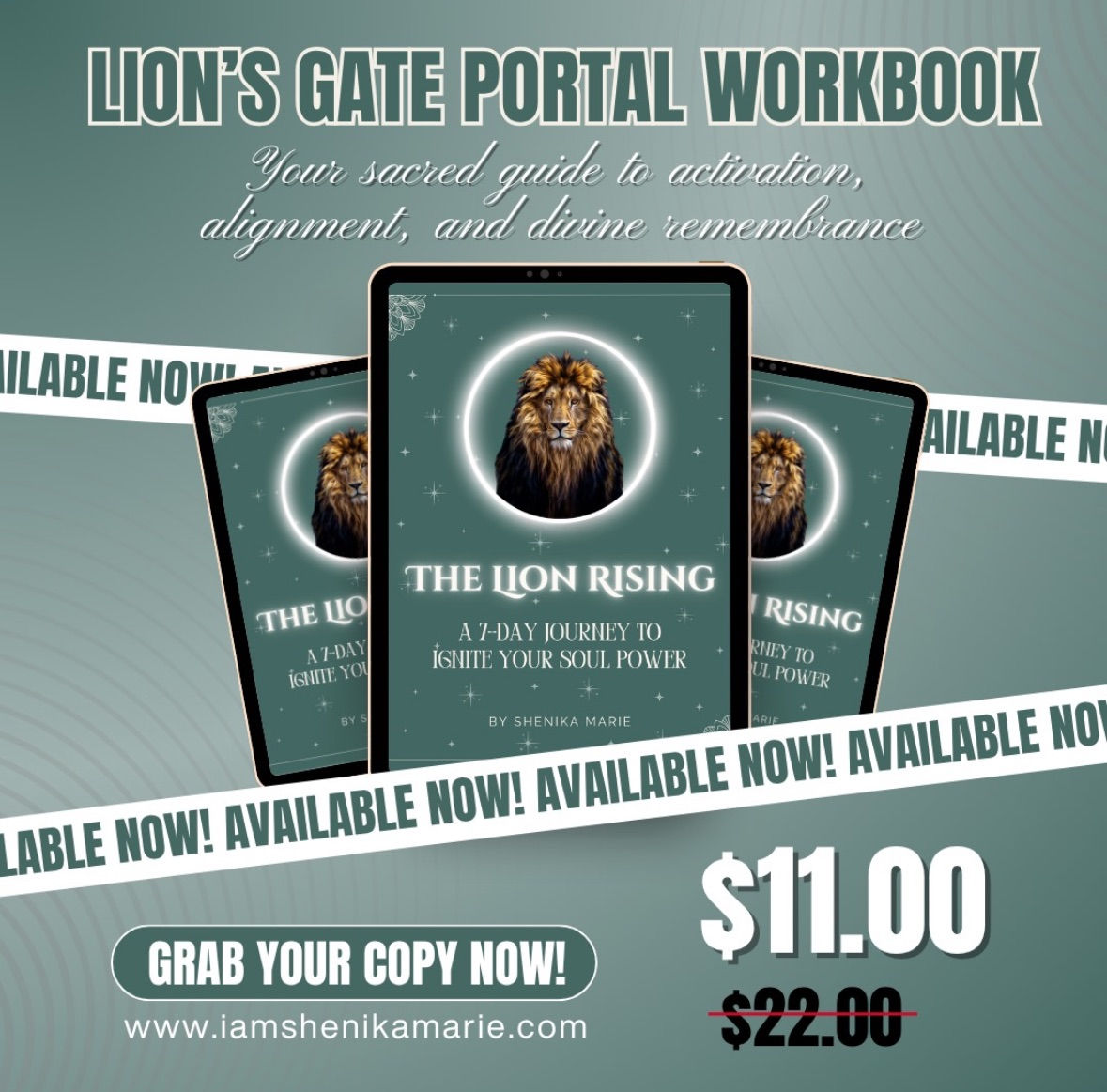 Lions Gate Portal Workbook