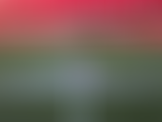 NFL Championship Sunday By The Numbers