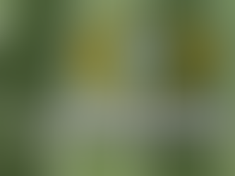 National Championship Statistical Analysis