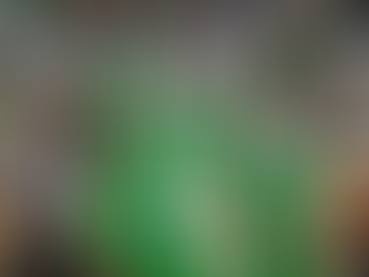 Top 20 Most Improved NCAA Football Teams From 2024 