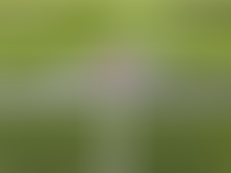 NFL Playoffs Conference Championship By The Numbers 