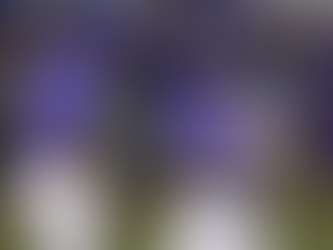 LSU Baseball By The Numbers