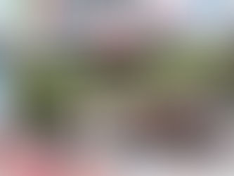 Listen to the lates episode of our Podcast - What events to do in 2024? 