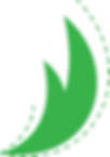 Green Logo Leaf/Flame