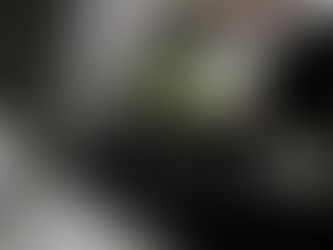 台鐵乘車指南(2)