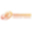 pandanaran_logo_256