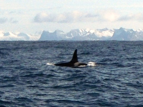 Andenes - Barnøy
