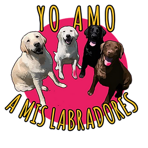 20210505_105223.png