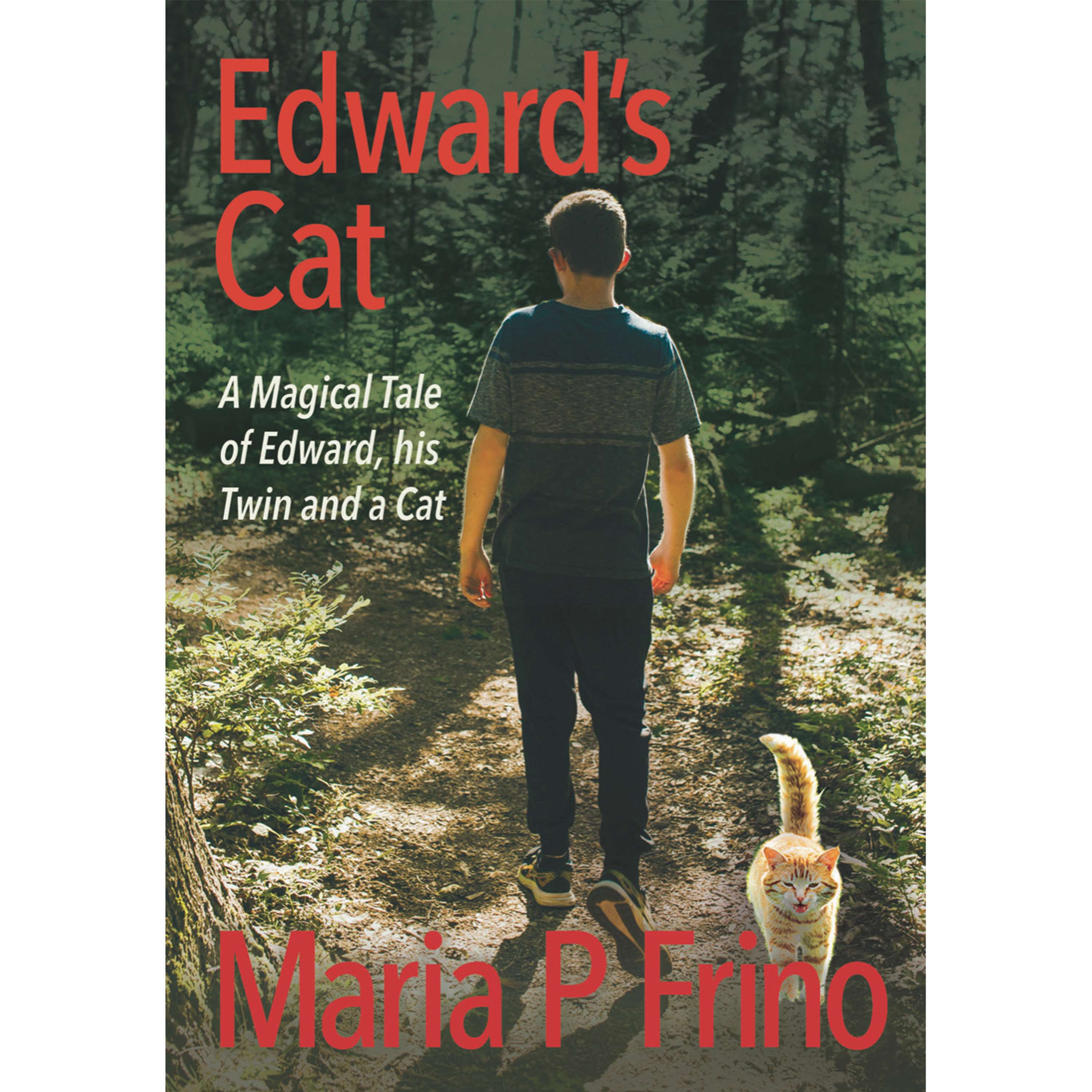 Edward's Cat book 1. A Magical Tale of Edward, his Twin and a Cat. Front cover, written by Maria P Frino, part of the Edward's Cat Trilogy.