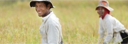 Aposentadoria por Idade Rural