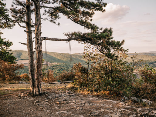 Tavaszi Zsongás Pécsen – Pihenjen kedvezményesen a tavasz első napjaiban