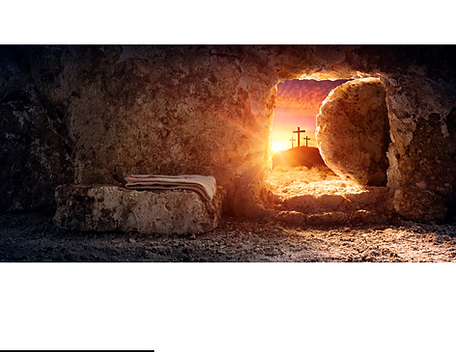 Untitled design (2).png