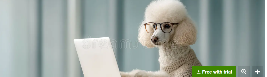 T Puppy Katt, the scholar