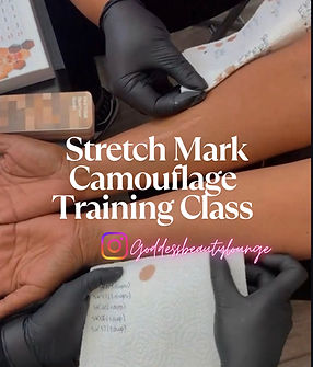 Stretch Mark Camouflage Training Class.png
