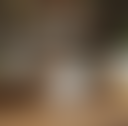 Brand Spotlight: Why We Trust Animal, USN, or Applied Nutrition