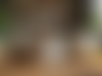 Brand Spotlight: Why We Trust Animal, USN, or Applied Nutrition