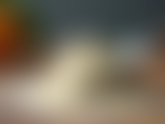 Whey Protein FAQ: Your Guide to Choosing the Right Protein Supplement