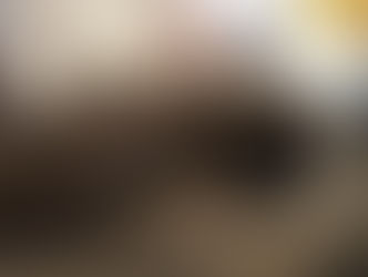 Ботик Петра I