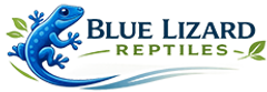 newnewlogo.png