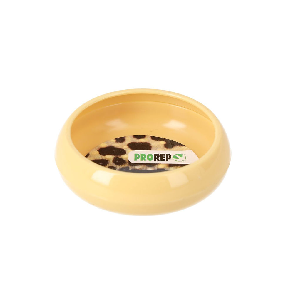 Thumbnail: Pro Rep Mealworm Dish
