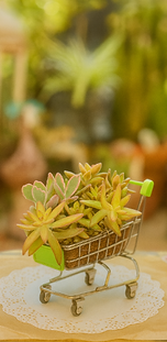 the-little-cart-kingdom-great-journey II