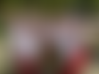 Національно-патріотичне виховання у закладі