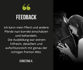 Ausbildung Pferdephysiotherapie