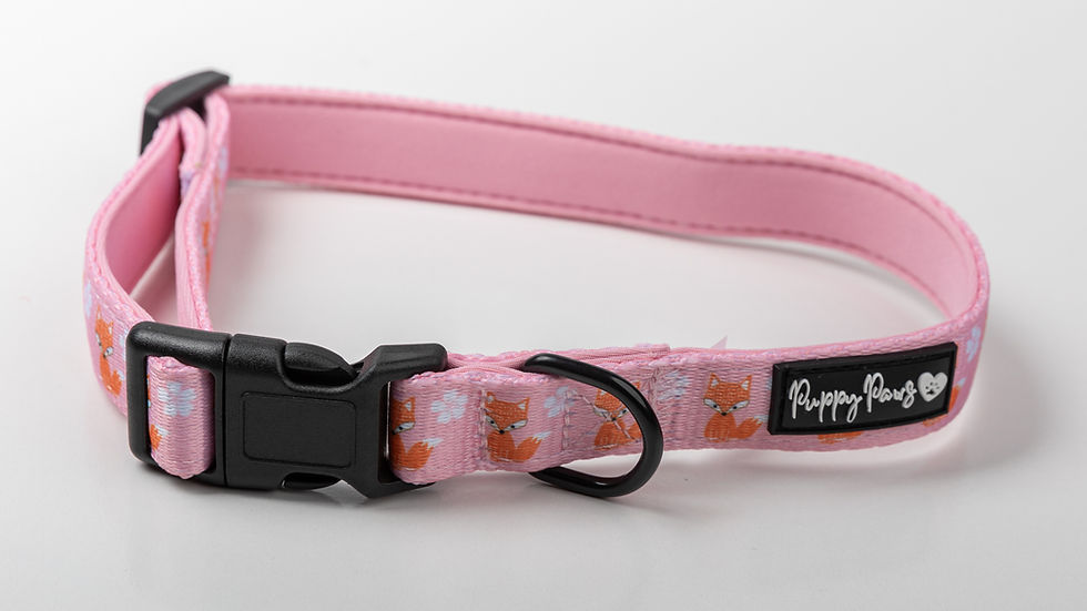 Thumbnail: Pink Fox Soft Collar Bundle