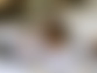                    Feeling overwhelmed by everything?