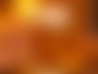 Toca do Urso comemora Oktoberfest com programação especial em Ribeirão Preto