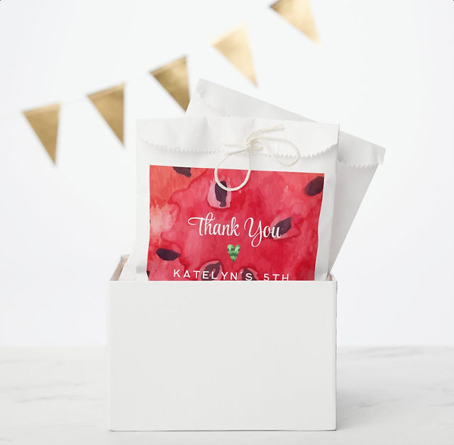 Watermelon Party Bag