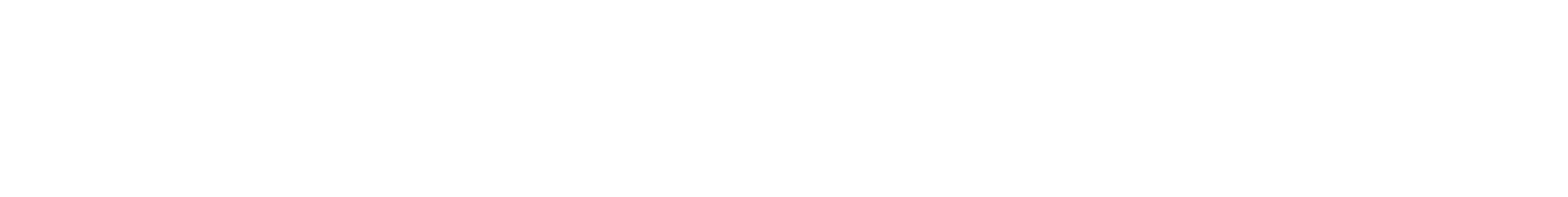RP_LOGO_HORIZONTAL_WHITE.png