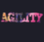 Miniature : Sweat capuche AGILITY Femme