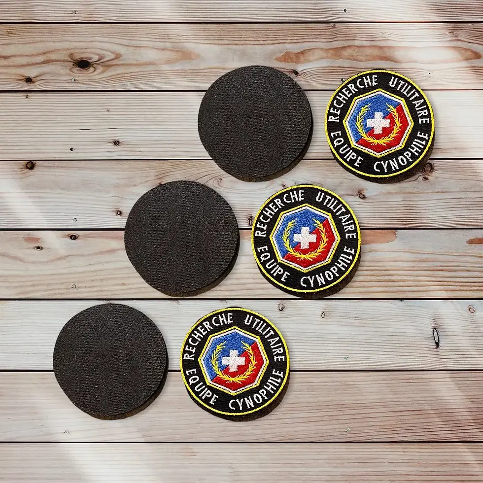 484333438_4827439790814741_7837405732045324214_n