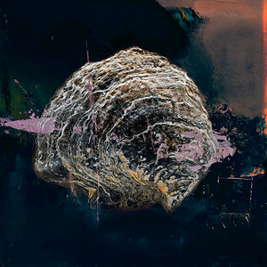 'Underwater Oyster V'