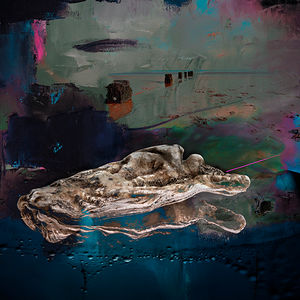 'Underwater Oyster X'