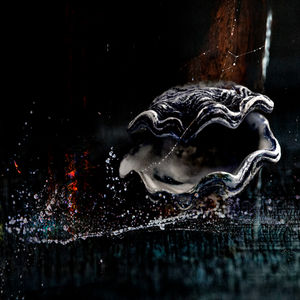 'Underwater Oyster I'