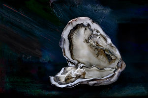 Oyster X.jpg