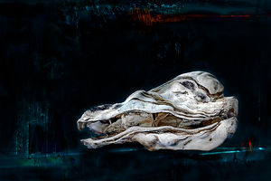 OysterVIII.jpg