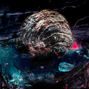 'Underwater Oyster IX'