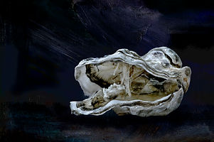 Oyster IX.jpg