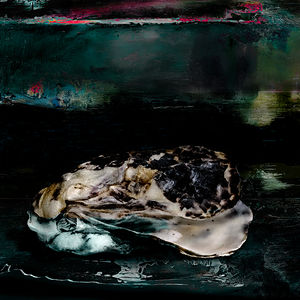 'Underwater Oyster VI'