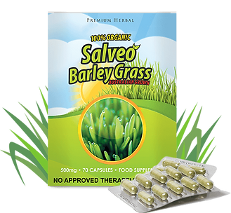 salveo barley product-image.png